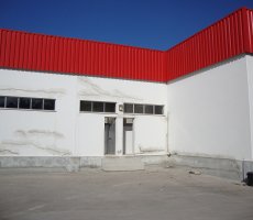 Antes